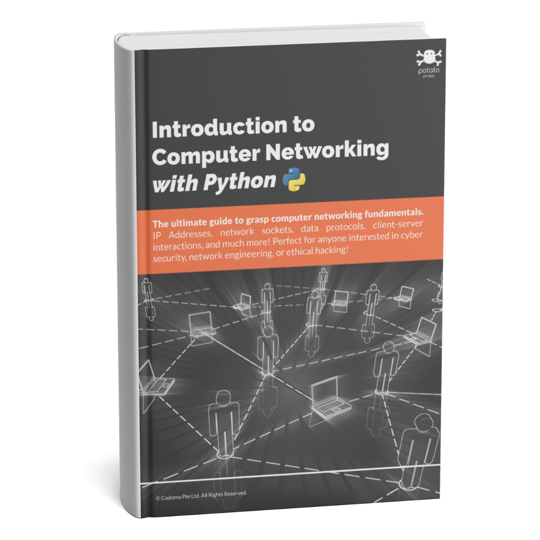 Introduction to Computer Networking – Potato Pirates