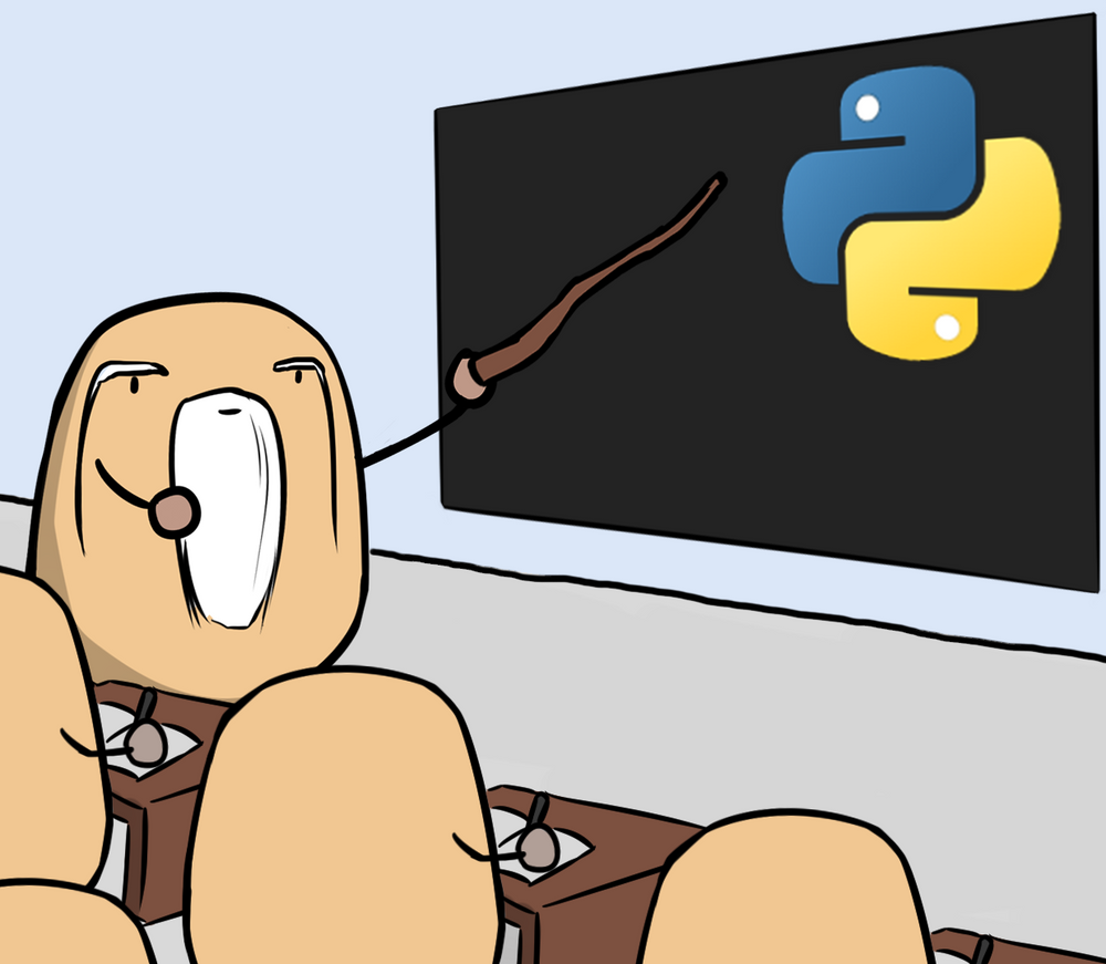 Python 12-hour Curriculum